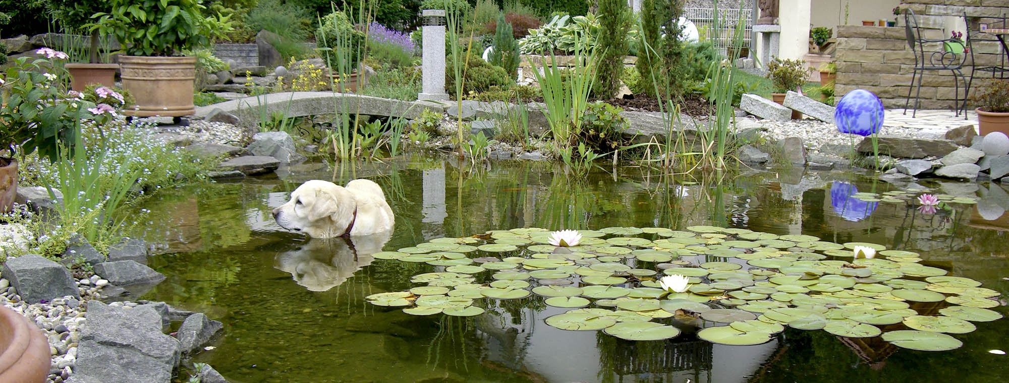 Teich, Wasser im Garten