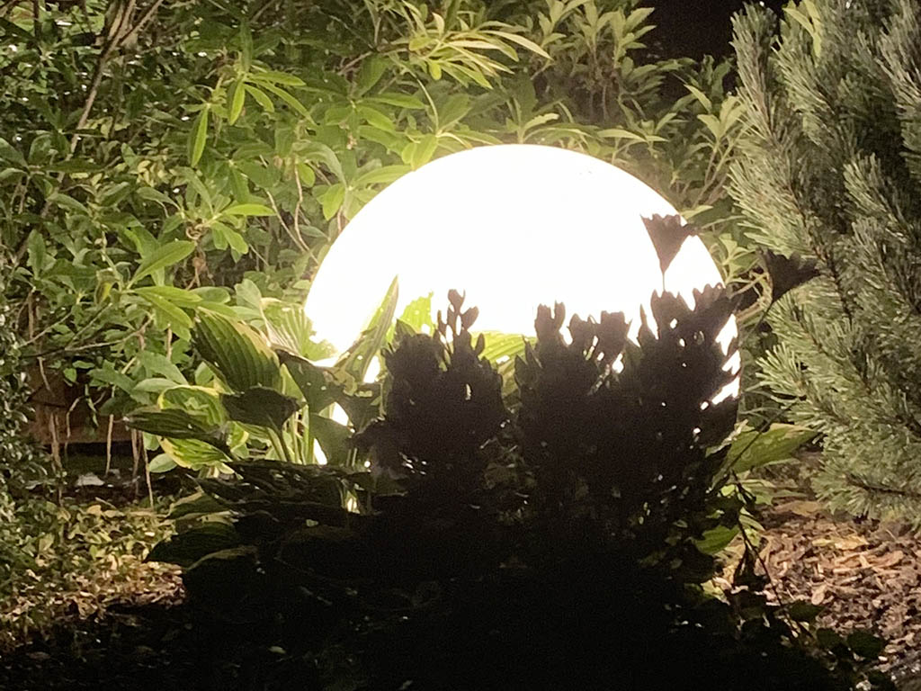 Kugelleuchte als Lichtobjekt in Pflanzung 