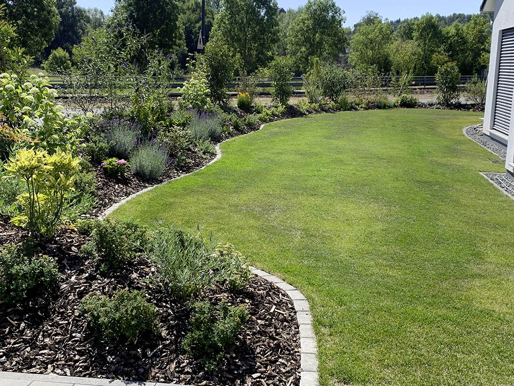 Blütenhecke mit Unterpflanzung