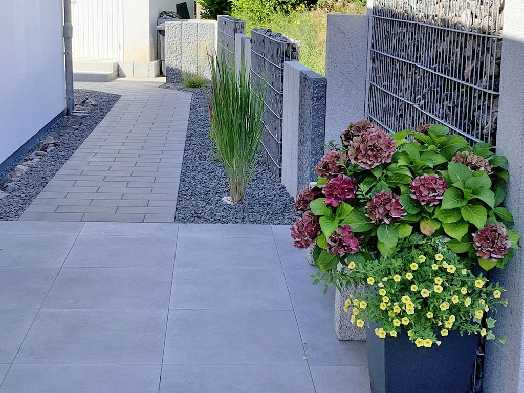 Solitärgras und Kübel mit Hydrangea