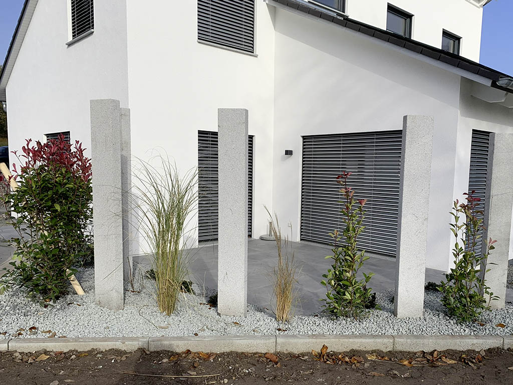 Solitärgräser und Glanzmispel