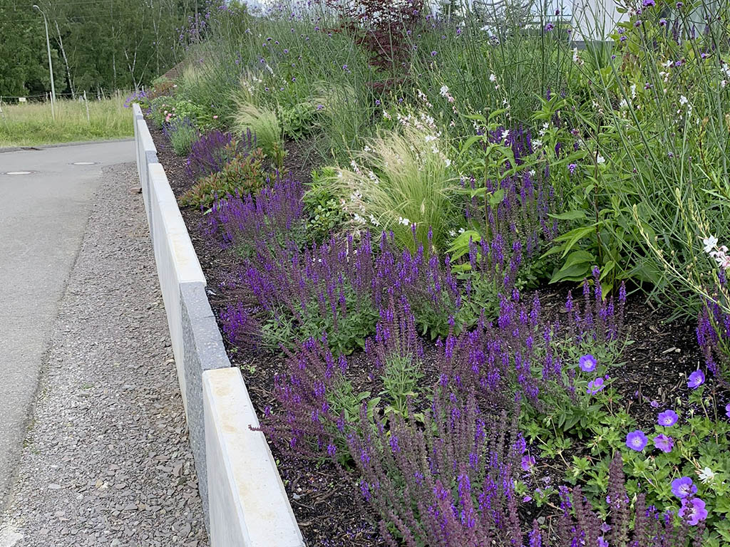 Hang mit Staudenbepflanzung 