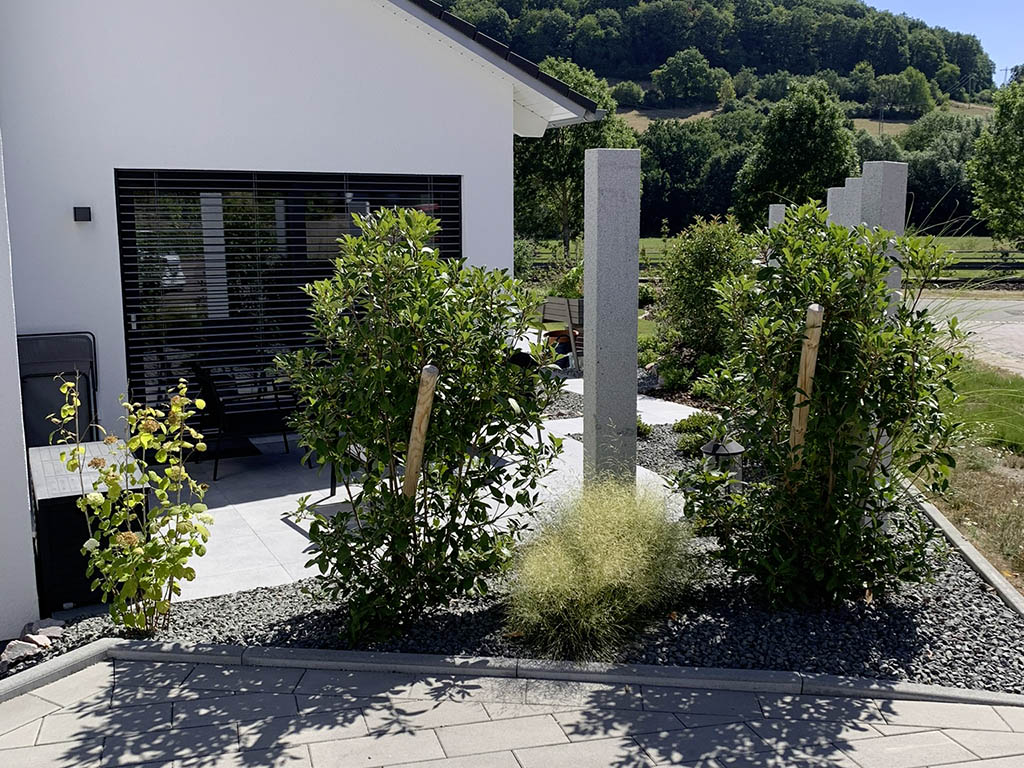 Glanzmispeln als Sichtschutz 