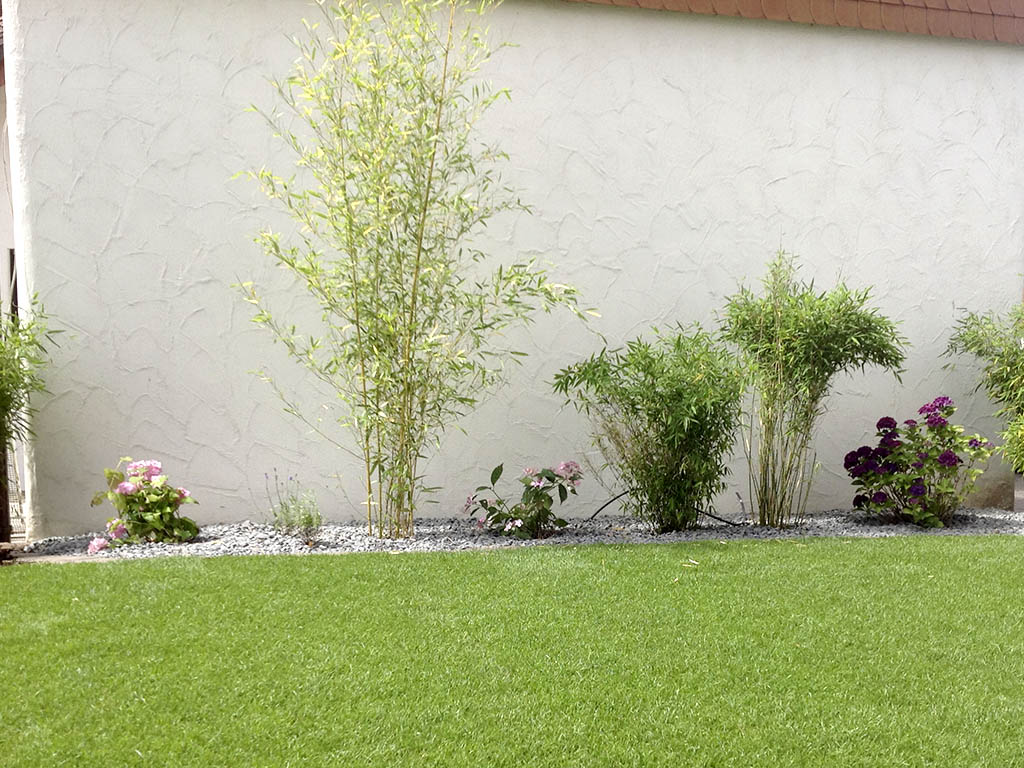 Verschiedene Bambusarten und Hortensie 