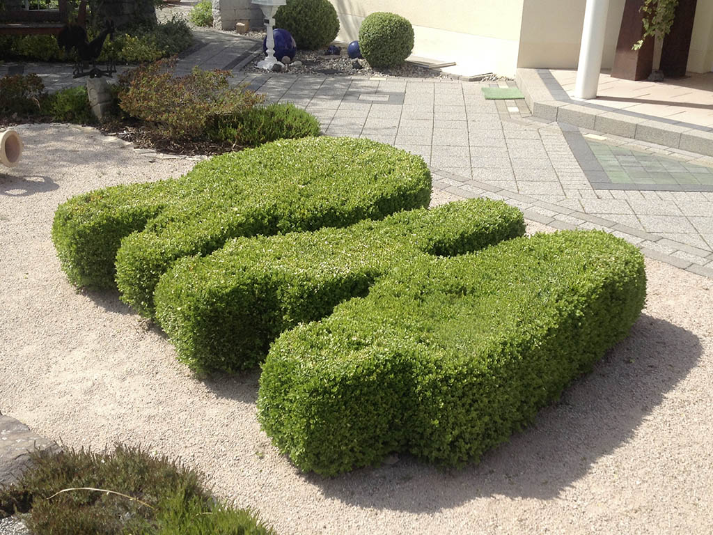 Buchs als Logo geschnitten