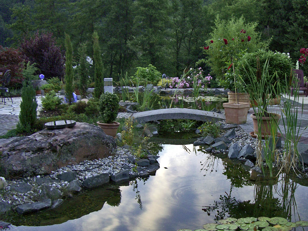 Teichlandschaft in der Abenddämmerung